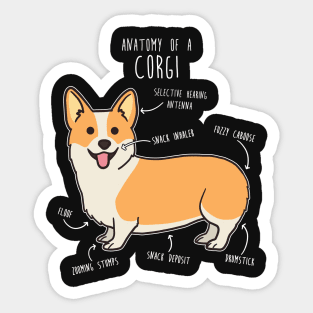 Corgi Anatomy Sticker